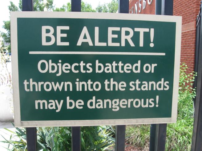Warning at NewBridge Bank Ballpark, home of the Greensboro Grasshoppers